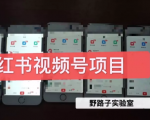 野路子小红书视频号1.0项目，直接上手操作就能赚钱的视频号项目-甬战资源库