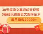 30天疯卖文案速成变现营，0基础玩透爆卖文案捞金术！每月增收20000+-甬战资源库