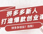 拼多多新人打造爆款创业课：快速引流持续出单，适用于所有新人-甬战资源库