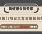 暴利偏门项目全套合集视频教程:你要的日赚1000+月入几万+项目都有-甬战资源库