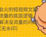 只说话就会火的短视频文案课，从根本上解决没流量的问题-甬战资源库