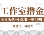 工作室撸金二件套:撸今日头条原创收益+小红书一单利润40块项目-甬战资源库