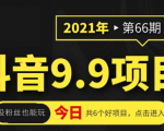 抖音9.9课程项目，没粉丝也能卖课，一天300+粉易变现-甬战资源库