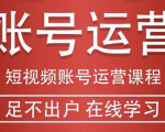 短视频账号运营课程：从话术到短视频运营再到直播带货全流程，新人快速入门-甬战资源库