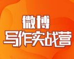 村西边老王·微博超级写作实战营,帮助你粉丝猛涨价值999元-甬战资源库