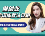 微创业全能训练营认证班课程,从理论知识与实际案例手把手指导创业新手如何从零到有-甬战资源库