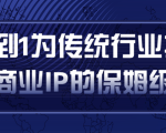 从0到1为传统行业打造抖音商业IP简单高效的保姆级攻略-甬战资源库