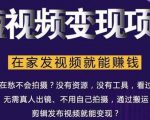 在家也能操作的短视频赚钱项目，无需真人，不用拍摄，纯搬运月入2到5万-甬战资源库