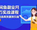 2021闲鱼副业月入过万实战课程：从开店到选择货源到引流，全程实战教学-甬战资源库