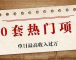 30套热门项目：单日最高收入过万 (网赚项目、朋友圈、涨粉套路、抖音、快手)等-甬战资源库