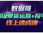 数据哥·超级带货运营+投手线上速成课,快速提升运营和熟悉学会投手技巧-甬战资源库