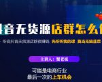 蟹老板·抖音无货源店群怎么做,吊打市面一大片《抖音无货源店群》的课程-甬战资源库