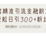 1套精准引流金融粉方法,轻松日引300+粉丝-甬战资源库