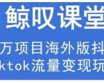 鲸叹号·海外TIKTOK训练营，百万项目海外版抖音tiktok流量变现玩法-甬战资源库