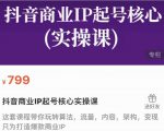抖音商业IP起号核心实操课,带你玩转算法,流量,内容,架构,变现-甬战资源库
