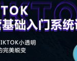 Tiktok实操进阶课程,体验从tiktok小透明到大佬的完美蜕变-甬战资源库
