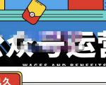零零已久·从0-1运营公众号,零基础小白也能上手,系统性了解公众号运营-甬战资源库
