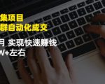 虚拟图集项目:矩阵站群自动化成交,3-5个月实现快速赚钱月入1W+左右-甬战资源库