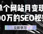单个网站月变现100万的SEO秘密,百分百做出赚钱站点-甬战资源库