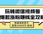 玩转微信视频号爆款涨粉赚钱全攻略,快速涨粉百万变现万元秘诀-甬战资源库