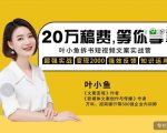 叶小鱼21天短视频文案拆书营,学完轻松搞定各类书单短视频文案-甬战资源库