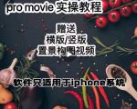 漆十二美食摄影,25节promovie实操高手课节-甬战资源库