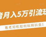 老古董·抖音月入5万引流玩法,看看老司机如何玩转抖音(附赠:抖音另类引流思路)-甬战资源库