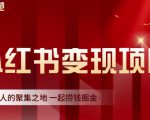 渣圈学苑·小红书虚拟资源变现项目,一起捞钱掘金价值1099元-甬战资源库