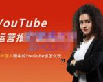 外国人眼中的YouTube该怎么玩?Elisa·YouTube运营推广实战技巧-甬战资源库