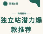 【跨境B哥】独立站潜力爆款选品推荐,测款出单率高达百分之80-甬战资源库