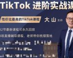 大山老师TikTok进阶实战课:账号详解,流量运营,实战变现,助力你成功出海-甬战资源库