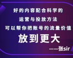 张sir账号流量增长课,告别海王流量,让你的流量更精准-甬战资源库