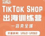 疯人院:TikTok Shop出海训练营（一店卖全球)，出海抢占全球新流量-甬战资源库
