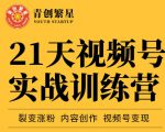 张萌21天视频号实战训练营,裂变涨粉、内容创作、视频号变现 价值298元-甬战资源库