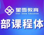星雪教育淘系高级班,更全的运营提升方案,零基础由浅入深,店铺最新玩法-甬战资源库