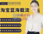 2022淘宝蓝海截流攻略,淘宝蓝海截流选品上货实操讲解-甬战资源库