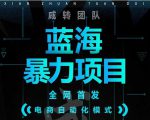 引流哥蓝海暴力躺赚项目：无需发圈无需引流无需售后，每单赚50-500（教程+线报群)-甬战资源库
