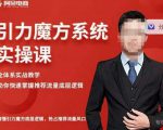 阿呆-引力魔方系统实操课，全体系实战教学，助你快速掌握推荐流量底层逻辑-甬战资源库