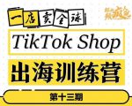 TikTokShop出海训练营(第十三期),打开全球流量新思维,出海抢占全球新流量,一店卖全球-甬战资源库