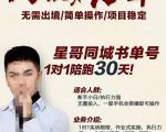 星哥同城教育书单号课程,无需出境简单操作项目稳定-甬战资源库
