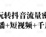 2022玩转抖音流量密码,(直播+短视频+千川)-甬战资源库