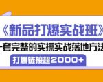 凌童《新品打爆实战班》,一套完整的实操实战落地方法,打爆链接超2000+(28节课)-甬战资源库