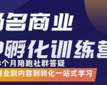 杨名商业IP孵化训练营，从商业到内容到转化一站式学 价值5980元-甬战资源库