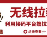 最新接码无限拉新项目，利用接码平台赚拉新平台差价，轻松日赚500+-甬战资源库