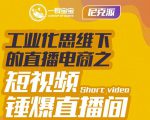 尼克派·工业化思维下的直播电商之短视频锤爆直播间，听话照做执行爆单-甬战资源库