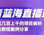 抖音最新蓝海直播玩法,3分钟赚30元,一天轻松1000+,只要你去直播就行【详细玩法教程】-甬战资源库