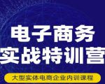 民赛电气内部出品:电子商务实战特训营,全方位带你入门电商,308种方式玩转电商-甬战资源库
