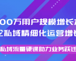 8000万用户规模增长方法论私域精细化运营增长，私域流量硬课助力业务跃迁-甬战资源库