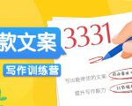 爆款文案写作训练营，写出一流带货文案，阅读量提升10-100倍-甬战资源库