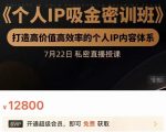 个人IP吸金密训班，打造高价值高效率的个人IP内容体系（价值12800元）-甬战资源库